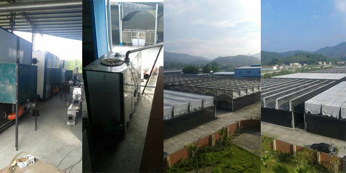 pellet hot water boiler for greenhouse warming pellet hot water boiler for greenhouse warming